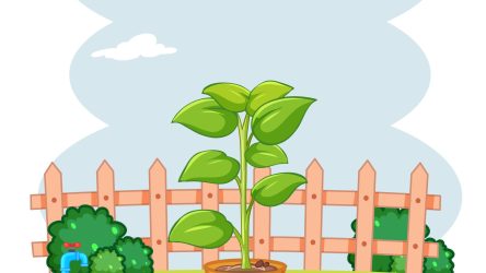 Comparison Table Demo Post